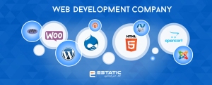 web development Comapny
